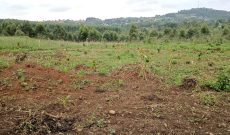 9 acres of land for sale in Namugongo Bukerere Namasiga at 110m per acre