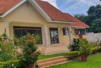 4 bedroom house for sale in Bukoto on 100x100ft for sale at 1 billion shillings