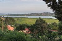 60 decimals plot of land for sale in Namulanda at 380m