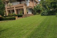 5 bedroom mansion with pool for sale in Bunga 1 acre at 3 billion shillings