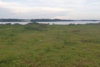 4 acres of Lake View land for sale in Nkumba at 600m Uganda shillings