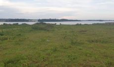 4 acres of Lake View land for sale in Nkumba at 600m Uganda shillings