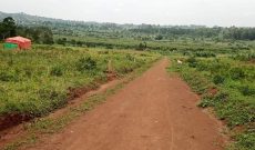 50x100ft plots of land for sale in Gayaza Nakasajja at 25m each