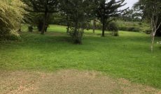 50 decimals plot of land for sale in Kololo at 1m USD