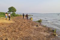 3 acres of beachfront land for sale in Kasanje at 150m per acre