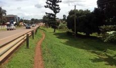 5 acres of land for sale in Kisubi Namulanda at 1 billion shillings each