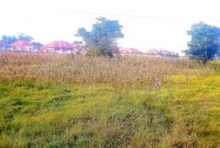 14 decimals for sale in Kira Mulawa 75m