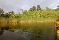 2 acres for sale in Lake Bunyonyi 150m