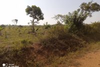 3 square miles of farmland for sale in Kabunyata Luwero at 3.5m per acre