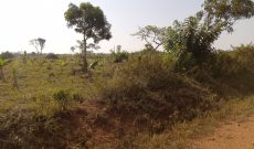 3 square miles of farmland for sale in Kabunyata Luwero at 3.5m per acre