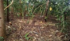 4 acres for sale in Kisoga at 45m each