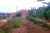 60 decimals plot of land for sale in Kira Butenga at 450m