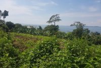 1 square miles of land for sale in Kalangala Ssese island at 10m per acre