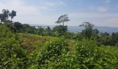 1 square miles of land for sale in Kalangala Ssese island at 10m per acre
