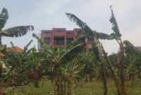 12 decimals plot of land for sale in Nsawo Namugongo at 75m shillings