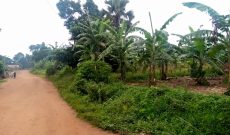 3 acres of land for sale in Kawempe Tula at 750m each