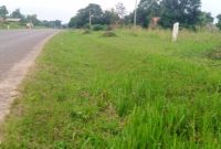 2 acres of land for sale in Vumba tarmac at 200m