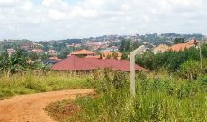 19 plots of land for sale in Nabusugwe hill at 40m each