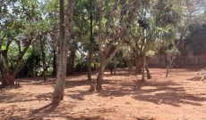 50 decimals (0.5 acres) of land for sale on Muyenga Hill at $400,000