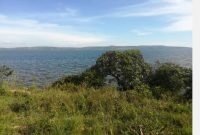 35 acres of lake shore commercial and for sale in Njeru at 45m per acre