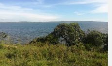 35 acres of lake shore commercial and for sale in Njeru at 45m per acre