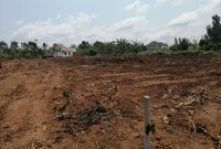 8 plots of 50x100ft for sale in Busukuma Gayaza at 30m each