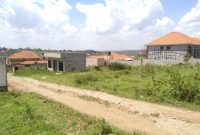 100x100ft plot of land for sale in Kira Nsasa at 195m shillings