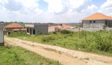 100x100ft plot of land for sale in Kira Nsasa at 195m shillings