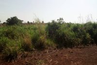 200 acres of land for sale along Kafu River at 3.5m per acre