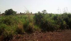 200 acres of land for sale along Kafu River at 3.5m per acre