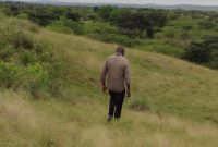 200 acres of farm land for sale in Kimengo Masindi road at 3.5m per acre