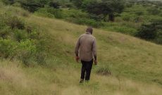 200 acres of farm land for sale in Kimengo Masindi road at 3.5m per acre
