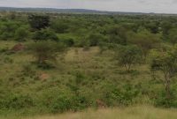 50 acres of land at the entrance of Murchison falls national park at 8.5m per acre