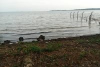 6 Acres acres of beach front property for sale in Bwerenga at 450m PER ACRE