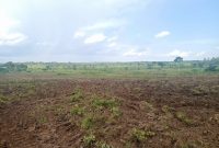 10 acres for sale in Nakifuma at 50m per acre