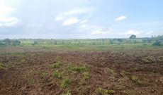 10 acres for sale in Nakifuma at 50m per acre