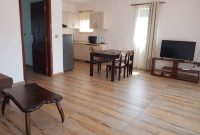 1 bedroom furnished apartment for rent in kololo $1,000