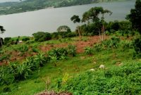 160 acre farm for sale in Koome Island at 1.6 billion Uganda shillings