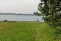 40 acres for sale on Lake Victoria Bukasa Kawuku at 350m per acre