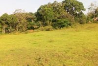 20 acres for sale in Kasanje at 55m each