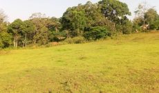 20 acres for sale in Kasanje at 55m each
