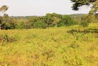 20 square miles for sale in Nakaseke