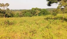 20 square miles for sale in Nakaseke