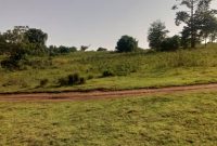 3 acres of land for sale in Katende at 35m per acre