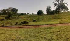 3 acres of land for sale in Katende at 35m per acre