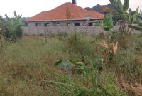 23 decimals plot of land for sale in Kira Kimwanyi at 130m