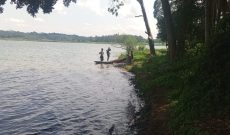 5 acres of lake shore land for sale in Bwerenga at 350m