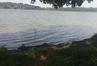 5 acres of lake shore land for sale in Bwerenga at 350m per acre