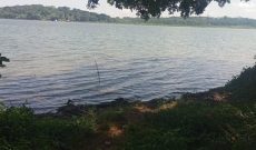 5 acres of lake shore land for sale in Bwerenga at 350m per acre