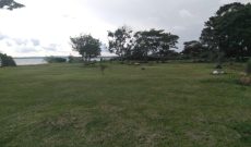 75 acres of land for sale in Buvuma island at 17m per acre